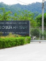 Xã Sơn Lễ