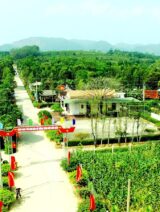 Xã Sơn Lĩnh