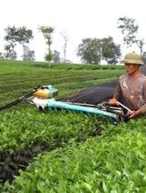 Xã Sơn Phú
