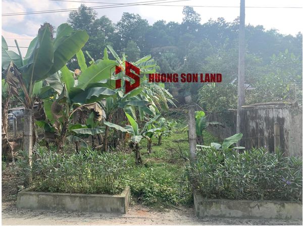 Đất Thị trấn Tây Sơn giá rẻ, Đường ô tô