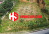 Đất đường quốc lộ 8A – Sơn Kim 1